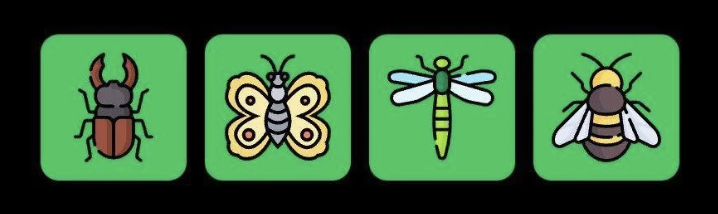 FLIES Daily Combo 7 May 2025